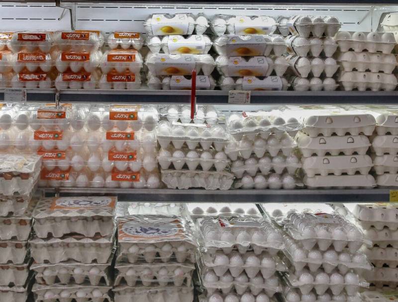 قیمت گوشت مرغ و تخم مرغ هیچگونه افزایشی ندارد